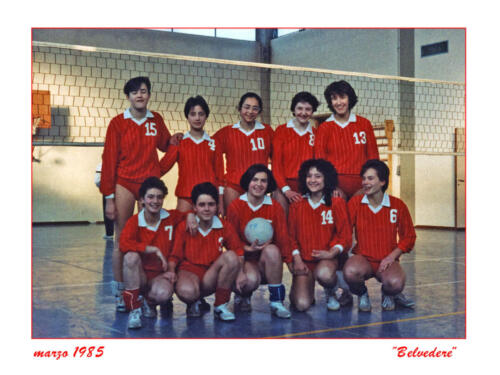 1985-1986 Belvedere
