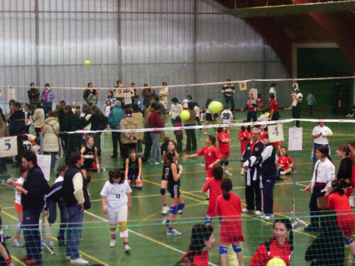 2005-2006 Minivolley POLISPORTIVO Carnevale